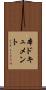 本ドキュメント Scroll