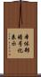 本体部暗号化表示 Scroll