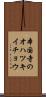 本国寺のオハツキイチョウ Scroll