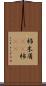 杮 Scroll
