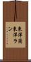 東洋蘭 Scroll