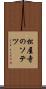 松屋寺のソテツ Scroll
