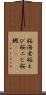 桜海老 Scroll