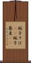椀子そば(rK) Scroll