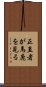 正直者が馬鹿を見る Scroll