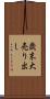 歳末大売り出し Scroll