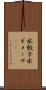 水餃子 Scroll