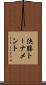 決勝トーナメント Scroll