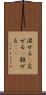 混ぜる(P) Scroll
