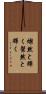 燦然と輝く Scroll