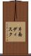 片面ディスク Scroll
