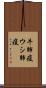 牛肺疫 Scroll