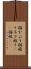 猫かぶり Scroll