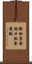 瑜伽集要焰口施食儀軌 Scroll