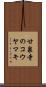 甘泉寺のコウヤマキ Scroll