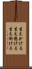 生えかける Scroll