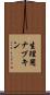 生理用ナプキン Scroll