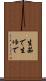 生茹で Scroll