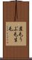 産毛 Scroll