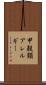 甲殻類アレルギー Scroll