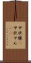 甲状腺(P) Scroll