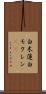 白木蓮 Scroll