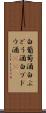白葡萄酒 Scroll