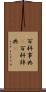 百科事典(P) Scroll