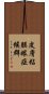 皮膚粘膜眼症候群 Scroll