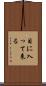 目に入って来る Scroll