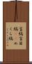 盲縞 Scroll