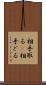 相手取る(P) Scroll