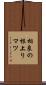 相良の根上りマツ Scroll