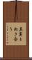 真実と向き合う Scroll