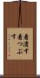 着潰す Scroll