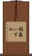 稲森いずみ Scroll