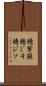 穂紫蘇 Scroll