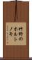 竹野のホルトノキ Scroll