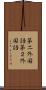 第二外国語 Scroll