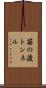 笹の渡トンネル Scroll
