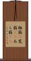 粗筋(P) Scroll