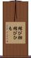 結び紐 Scroll