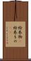 絵巻物(P) Scroll