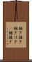 継ぎ接ぎ Scroll