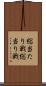 総当たり戦 Scroll