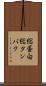 総蛋白 Scroll