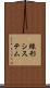 線形システム Scroll