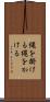 縄を掛ける Scroll
