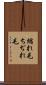 縮れ毛 Scroll