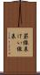 罫線表 Scroll
